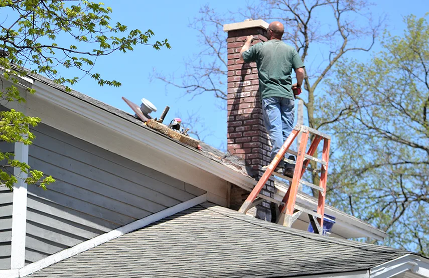 Chimney & Fireplace Inspections Services in Elmwood Park, NJ